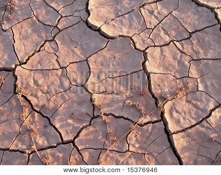 Dettaglio del terriccio asciutto terra