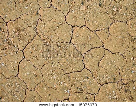 Dettaglio del terriccio asciutto terra
