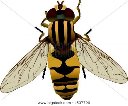 Fleur Fly.Eps