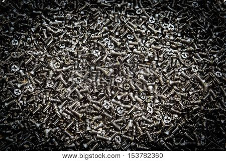 metal screw photo, tapping screw, wood screw, iron screw