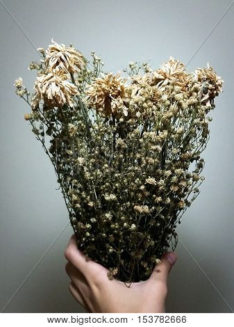In my hand holding the flowers are valuable