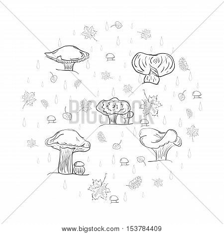 Set of Hand Drawn Sketch autumn leaves mushrooms and drops arranged in a shape of a circle. Different Fall Symbols. Perfect for Autumn Design. Vector illustration.