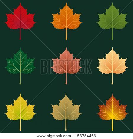 Autumn leaves collection vector illustration eps 10