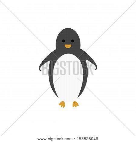 penguin,Penguin girl,vector illustration on white background,Cartoon penguin,vector illustration on white background