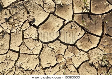 Cracking terra sfondo