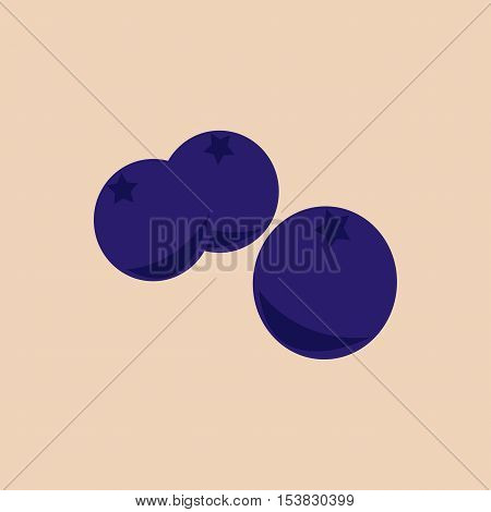 Berries seamless pattern, background,Blueberry high vitamin C & E vector