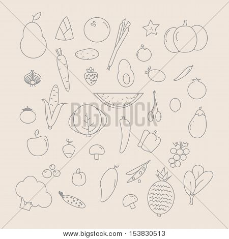 Set of fruits and vegetables icons,Set of isolated sketchy style vegetables/ Doodle vegetables in black and white/ Vector illustration