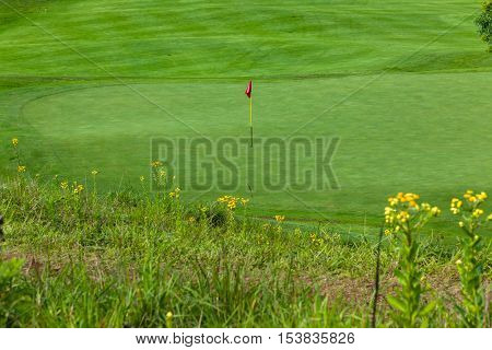 Golf Green Flagstick