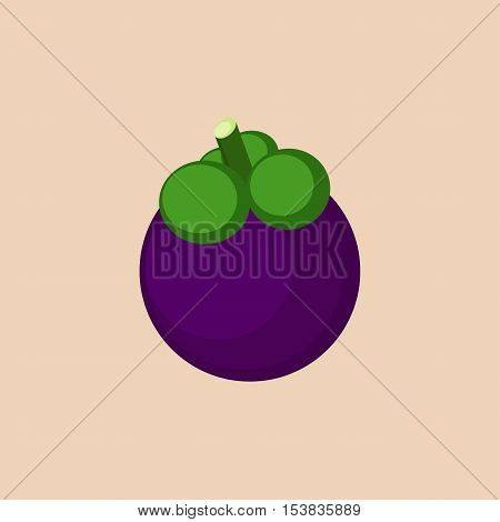 Mangosteen fruit health icon vector illustration design