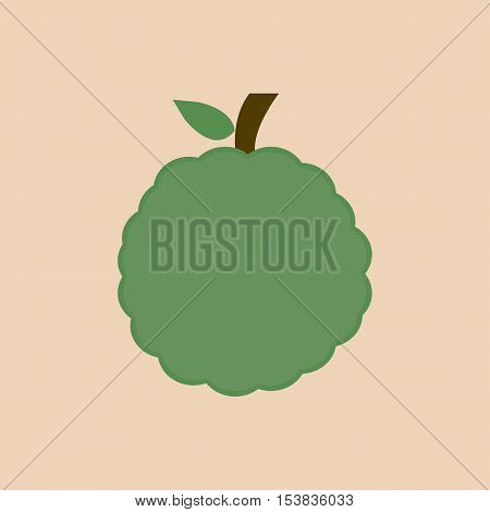 sugar apple fruit health icon vector illustration design