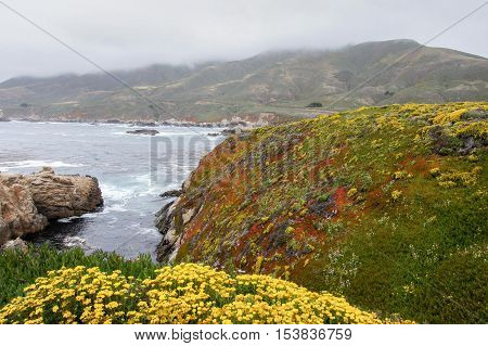 Foggy Coastline of the Pacific Ocean. Garrapata State Park, Big Sur, California, USA