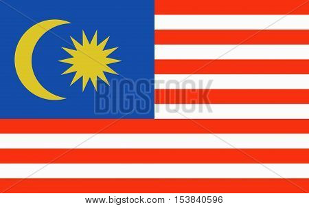Malaysia Flag for Independence Day and infographic Vector illustration.