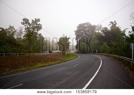 Foggy Road on the morning in Thailand
