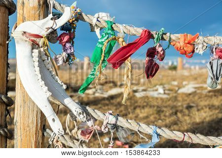 Jawbone And Colorful Cloth