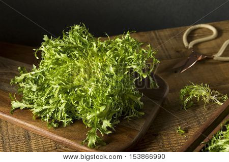 Raw Green Organic Frisee Lettuce