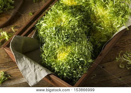 Raw Green Organic Frisee Lettuce
