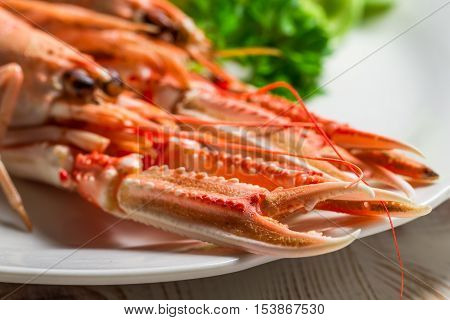Closeup of feshly cooked scampi on a plate