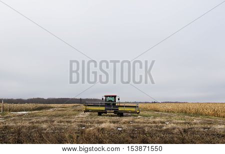 A swather parked in a swathed row in corn crop under overcast sky in late autumn