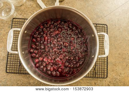 Grape Jam Jelly