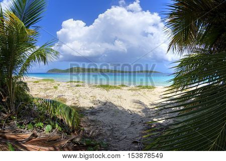 Wide angle view from among coconut palms on Zoni Beach with turquoise blue Caribbean water and North Cay off shore on Isla Culebra on a beautiful sunny day