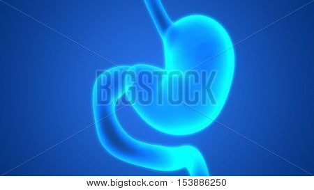 3D Illustration of Human Digestive System (Stomach Anatomy)