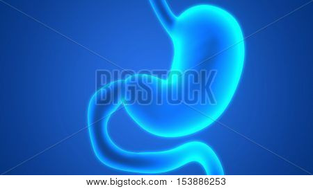 3D Illustration of Human Digestive System (Stomach Anatomy)