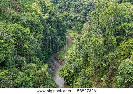 A river gorge passing through tropical jungle near Sangeh in the Central District of Bali in Indonesia.
