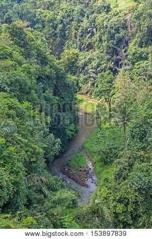A river gorge passing through tropical jungle near Sangeh in the Central District of Bali in Indonesia.
