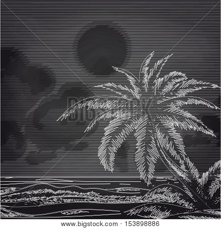 Chalk palm tree and ocean front sketch on chalkboard vector