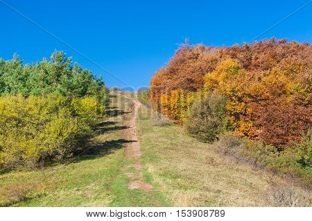 Colors of autumn - Man glade mountain pasture Demerdzhi Crimea Ukraine