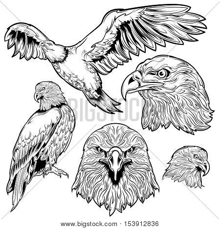 Eagle monochrome tattoo set with sitting and flying bird and head with proud look isolated vector illustration