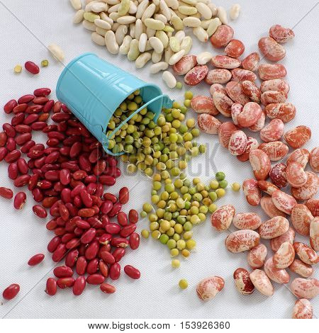 Collection Of Bean On White Background