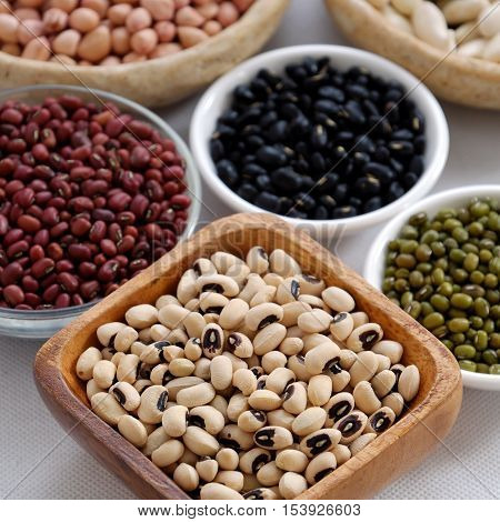 Collection Of Bean On White Background