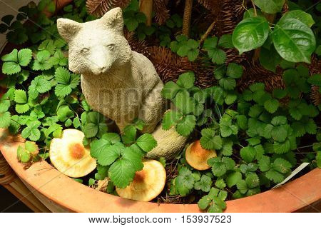 A sitting moldlime fox in the jungle