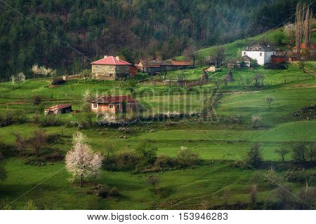 Borovitsa village in the spring, Eastern Rhodopes, Bulgaria