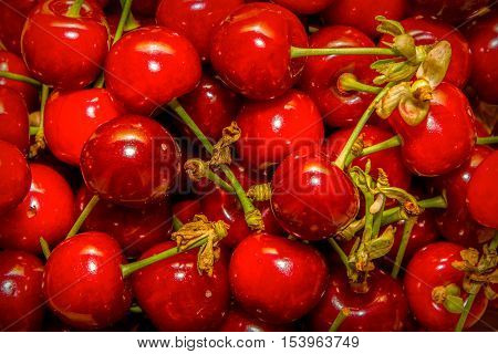 Lots of ripe fresh cherries. Organic food.
