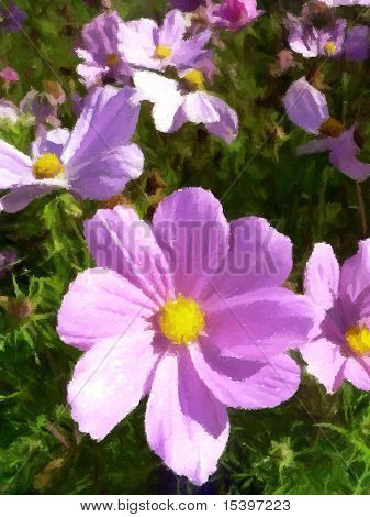 Fiori rosa