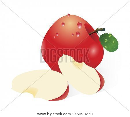 빨간 사과입니다. 벡터