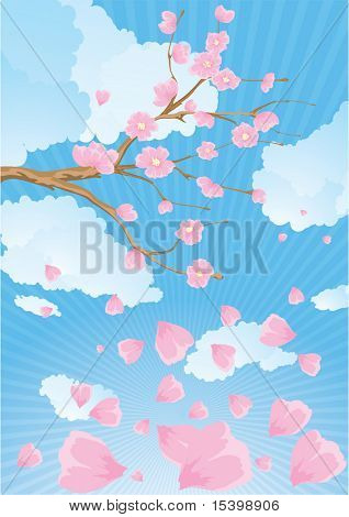 Rama de la flor de cerezo. Vector.