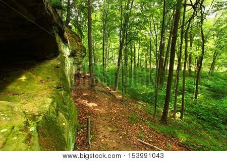 Rays of sunlight along a moss covered cliff of Turkey Run State Park in Indiana.