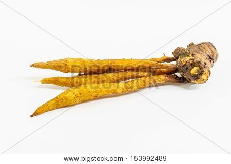 finger root on white background,rhizome,herb in thailand,food thai style.
