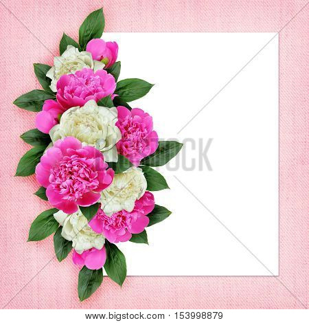 Pink and white peonies flowers arrangement on white and pink background
