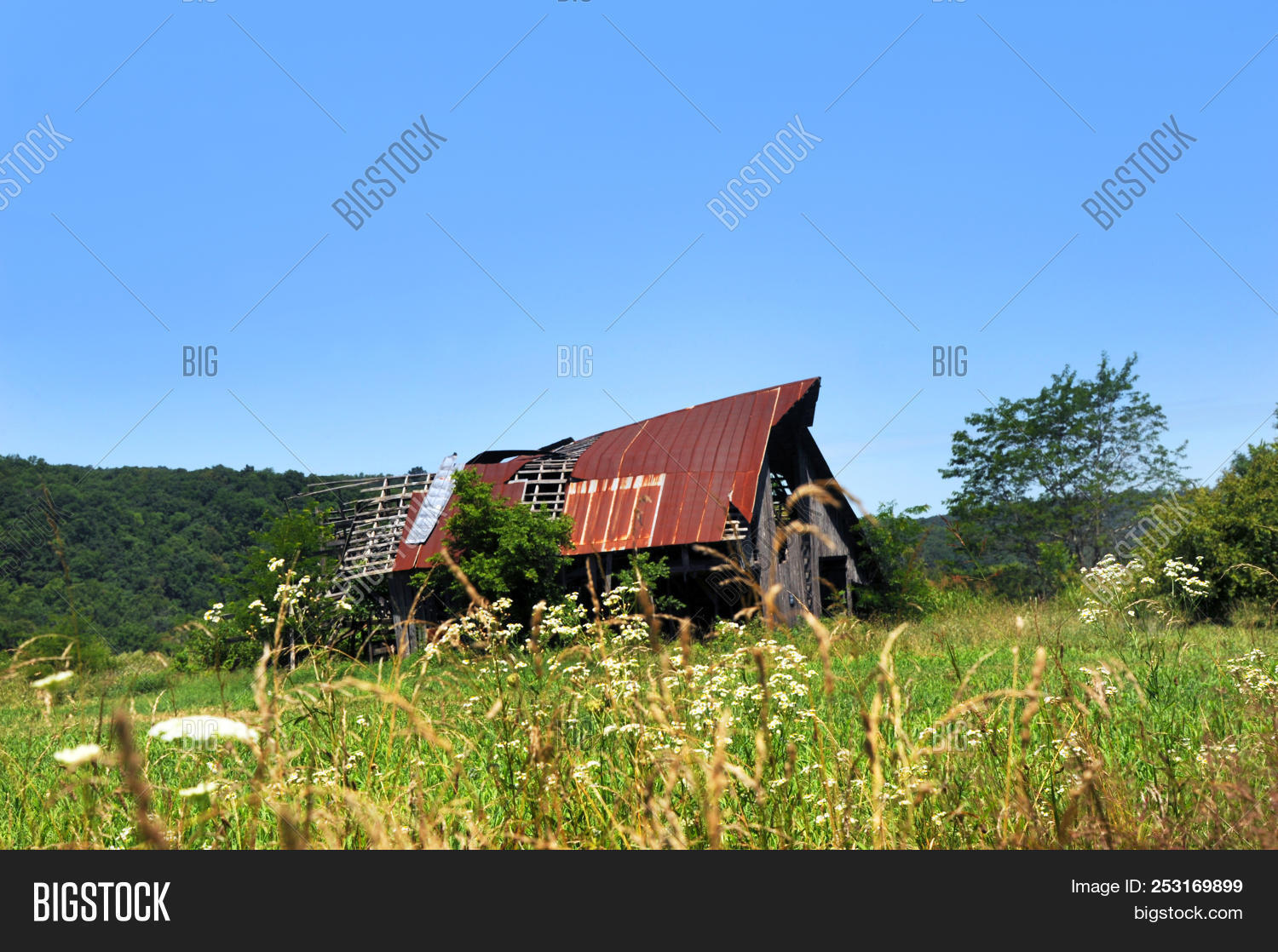 Arkansas Barn, Ozark Image & Photo (Free Trial) Bigstock