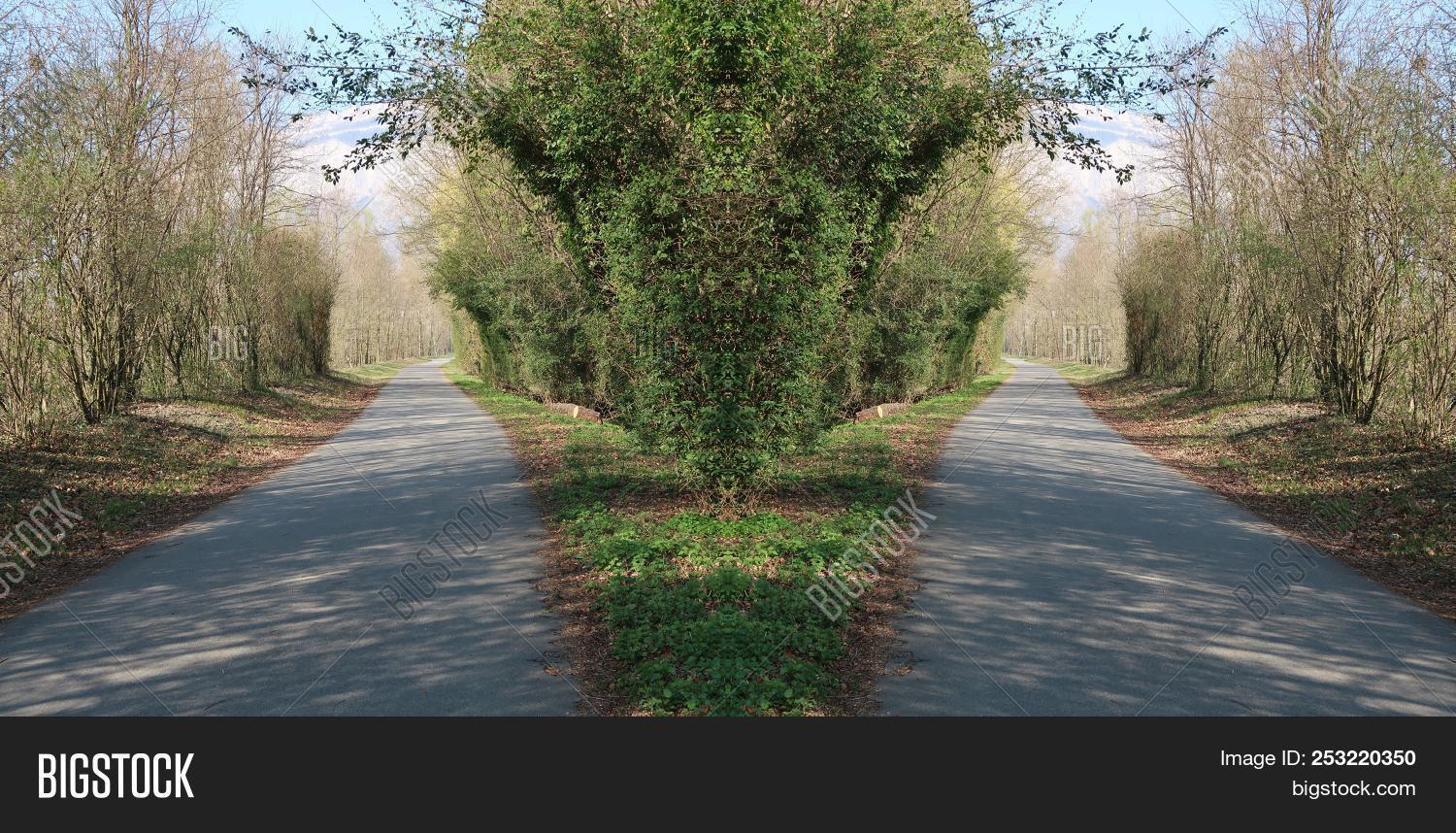 What If Two Roads Are Illusion What If >> Optical Illusion Two Image Photo Free Trial Bigstock What If Two Roads Are Illusion What If >> Optical Illusion Two Image Photo Free Trial Bigstock