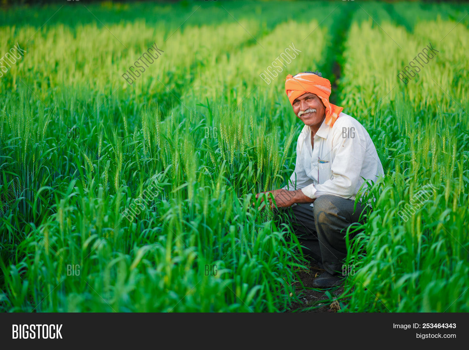 Indian Farmer Holding Image & Photo (Free Trial) Bigstock