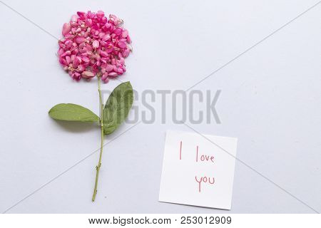 I Love You Message Card Handwriting With Pink Flower Arrangement On Background White