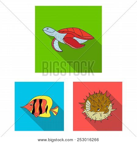 A Variety Of Marine Animals Flat Icons In Set Collection For Design. Fish And Shellfish Vector Symbo