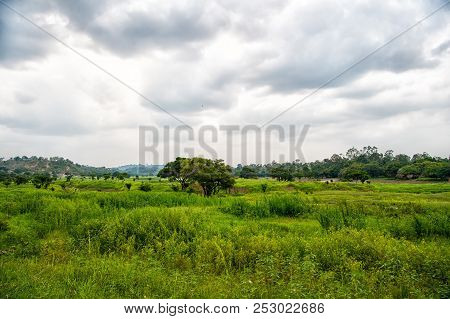 Tropical Landscape On Cloudy Sky In Boca De Valeria, Brazil. Green Trees On Summer Meadow, Tropical.