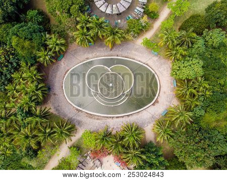 Aerial View Of Man Made Pond With Fountain In Park In Barra Da Tijuca, Rio De Janeiro. Drone Pov Sho