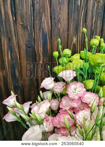 Flowers Eustoma On A Wooden Background Close-up. Beautiful Flower Pattern